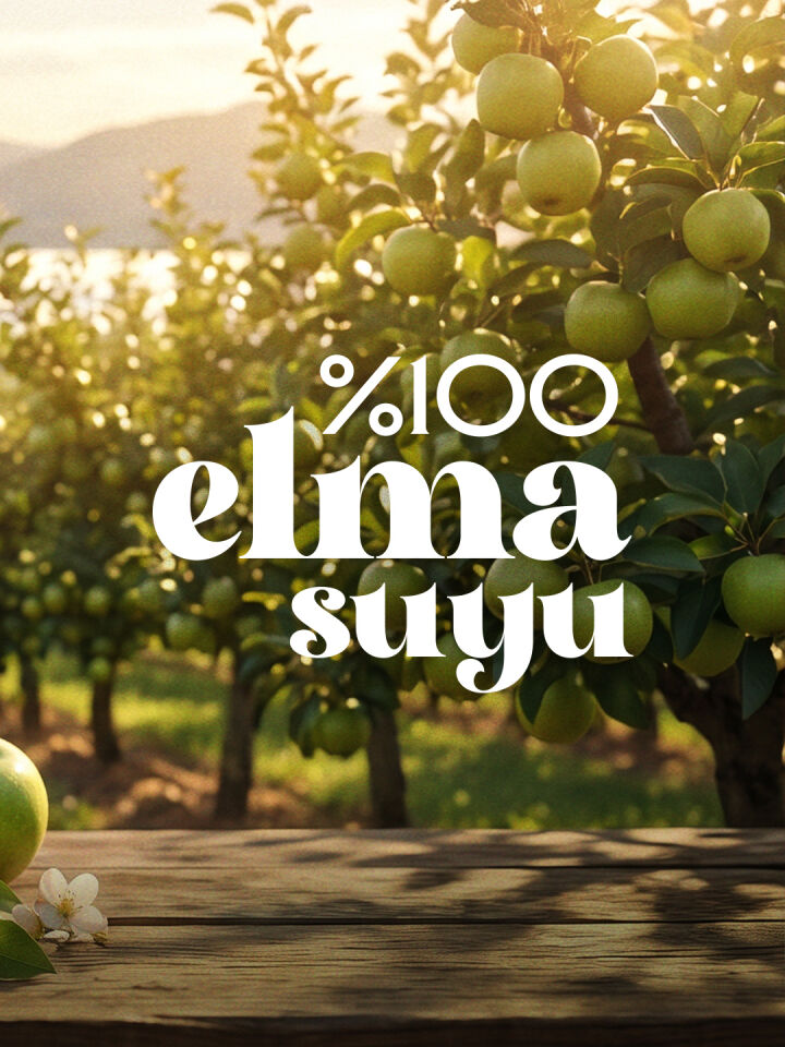 NİS %100 Elma Suyu 200 ml